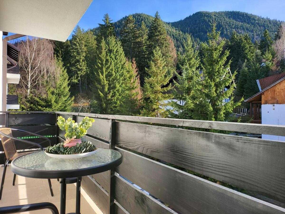 Dinvis Apartments Poiana Brasov Esterno foto